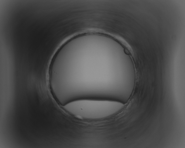 X0000100951287200806241115