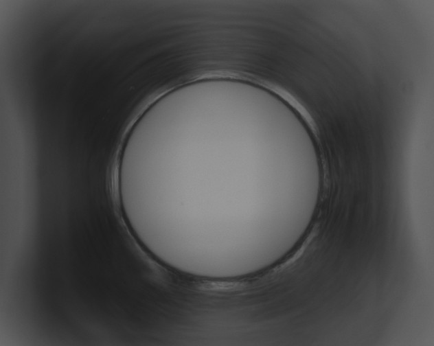 X0000100951290200806241115