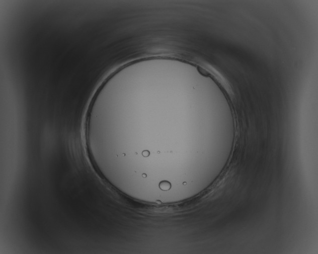 X0000100951291200806241115
