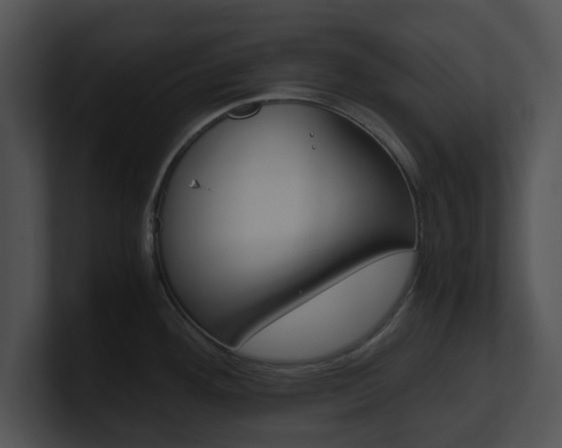 X0000100951292200806241115