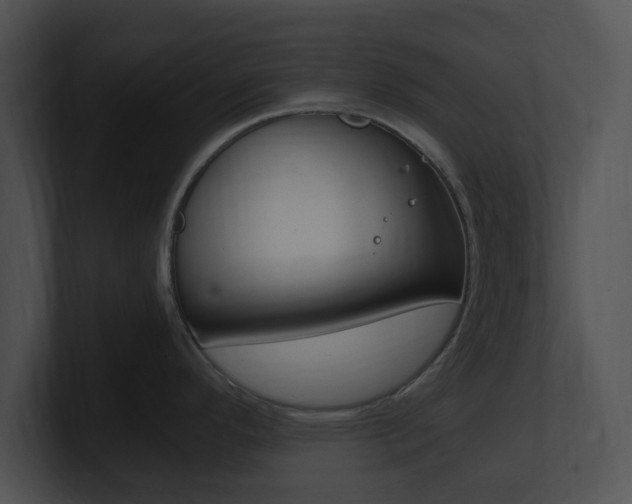X0000100951296200806241115