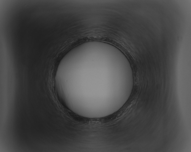 X0000100951297200806241114