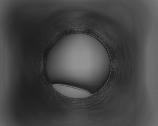 X0000100951298200806241114