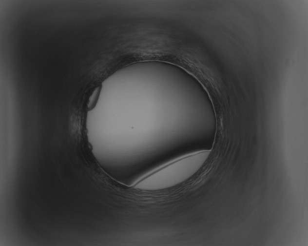 X0000100951300200806241114
