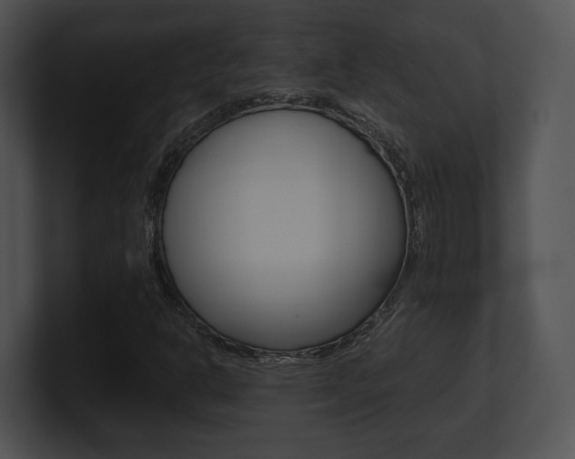 X0000100951302200806241114