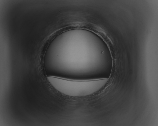 X0000100951304200806241114