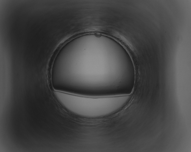 X0000100951308200806241114