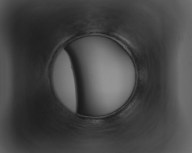 X0000100951309200806241114