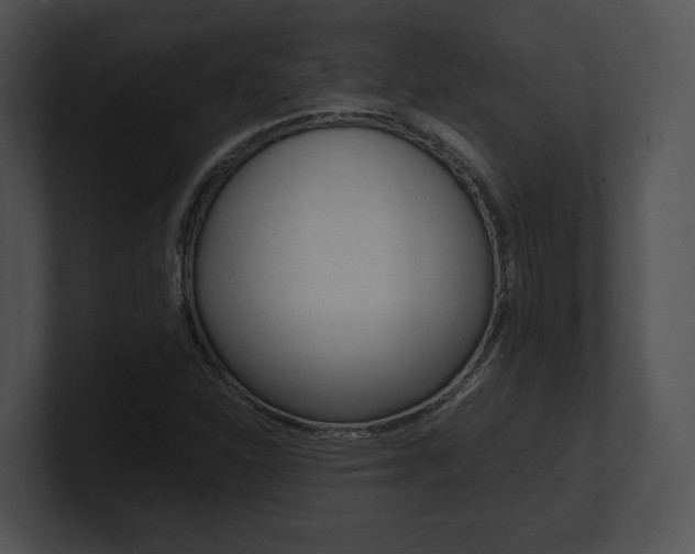 X0000100951310200806241114