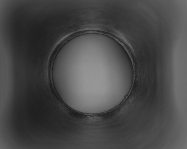 X0000100951312200806241114