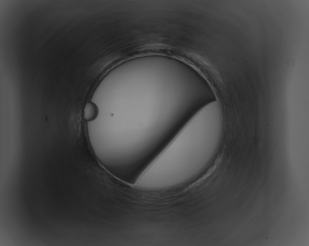 X0000100951313200806241114