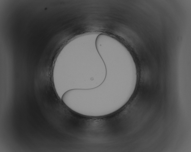 X0000100951314200806241114