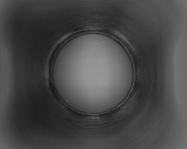 X0000100951315200806241114