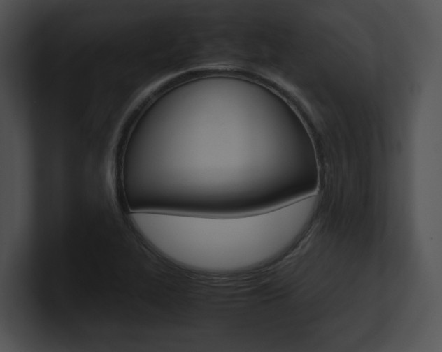 X0000100951319200806241114