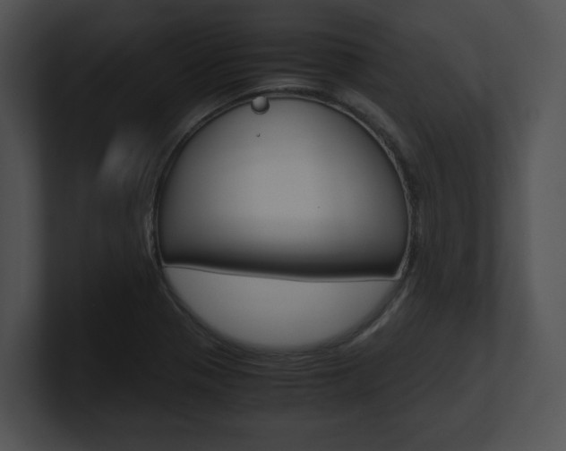 X0000100951321200806241114