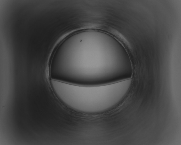 X0000100951324200806241114