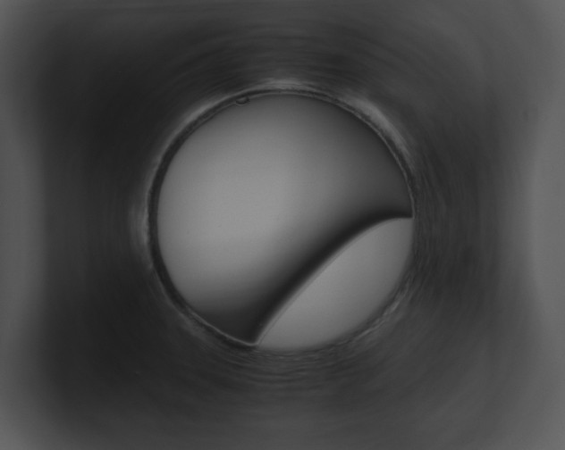 X0000100951331200806241115
