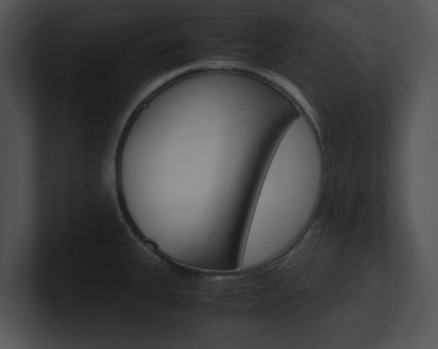X0000100951335200806241115