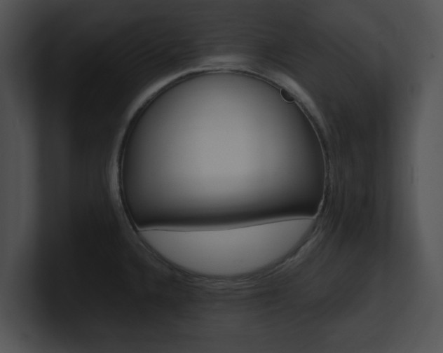 X0000100951336200806241115