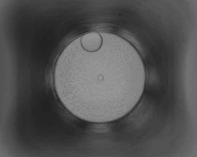 X0000100951338200806241115