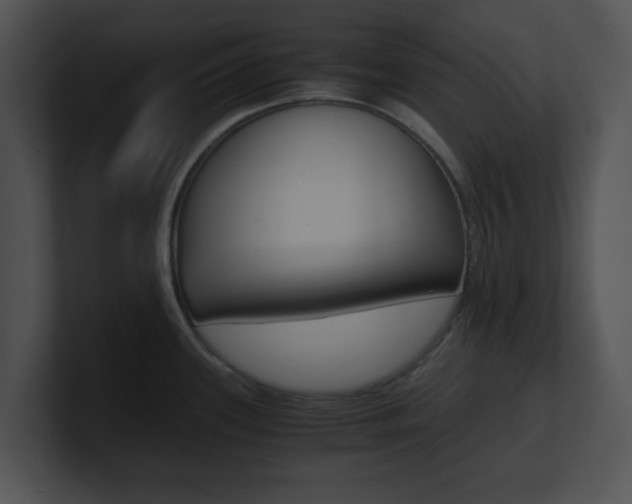 X0000100951339200806241115