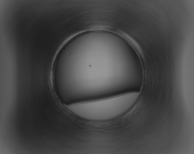 X0000100951340200806241115