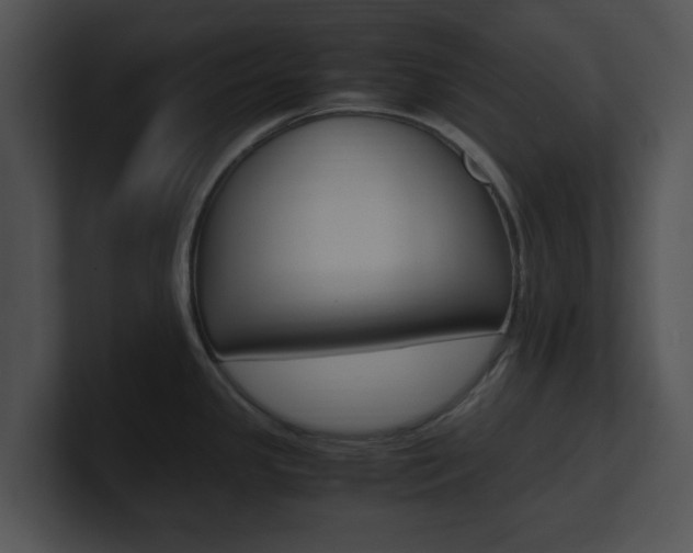 X0000100951341200806241115