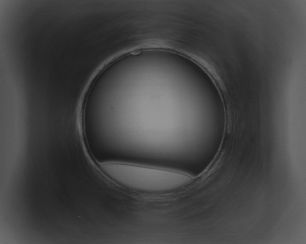 X0000100951342200806241115