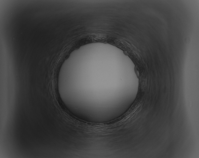 X0000100951345200806241114