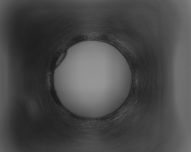 X0000100951346200806241114