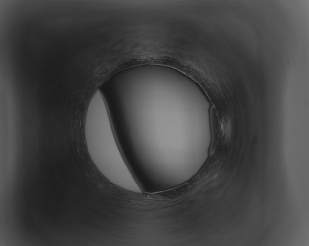 X0000100951348200806241114