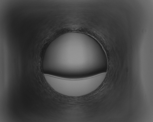 X0000100951349200806241114