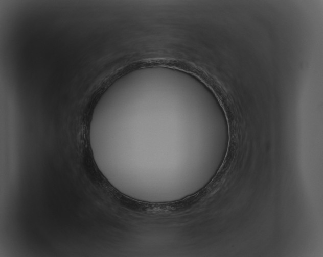 X0000100951351200806241114