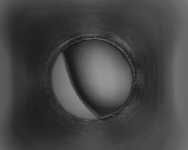 X0000100951352200806241114