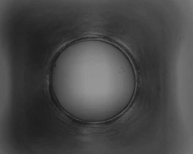 X0000100951355200806241114