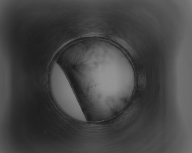 X0000100951356200806241114