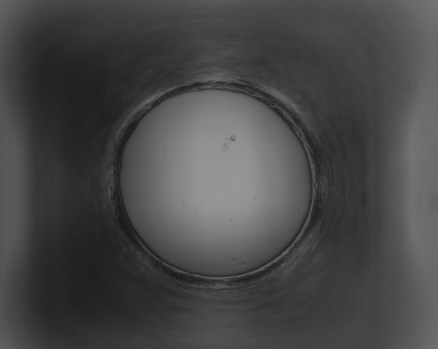 X0000100951359200806241114