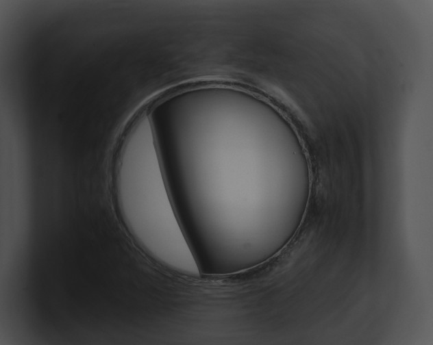 X0000100951360200806241114