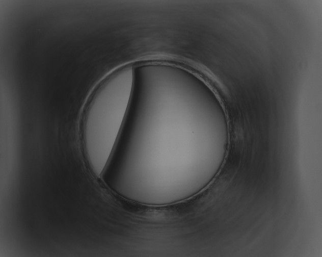 X0000100951364200806241114