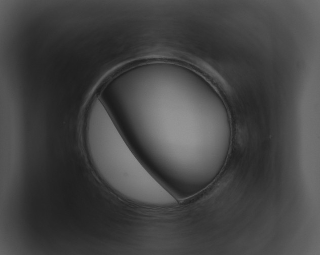 X0000100951368200806241114