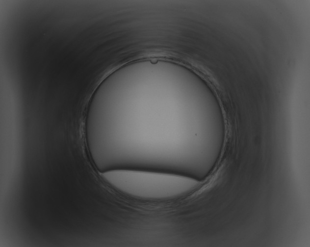 X0000100951369200806241114