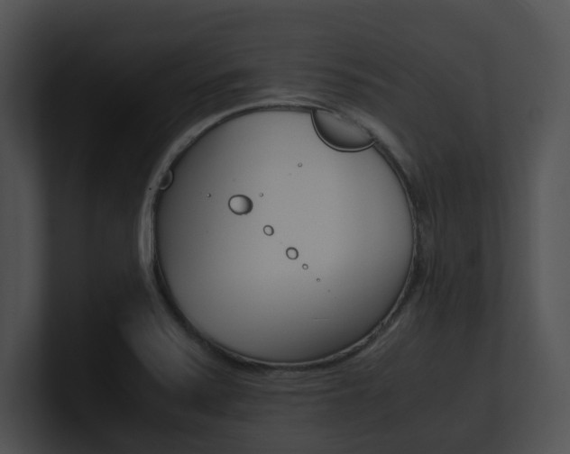 X0000100951371200806241114