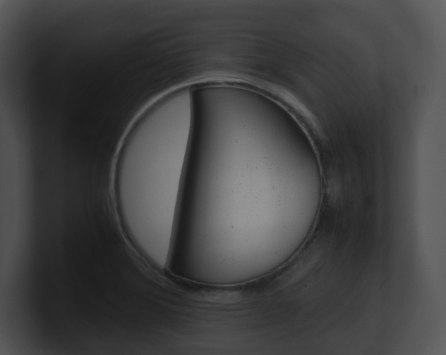 X0000100951372200806241114