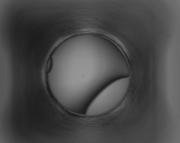 X0000100951373200806241114