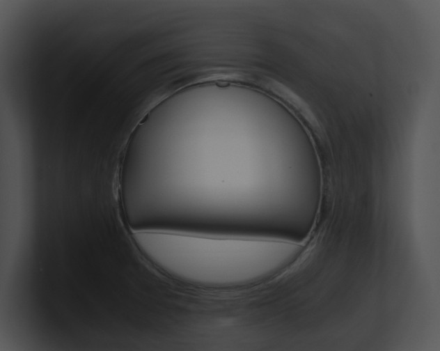 X0000100951377200806241114