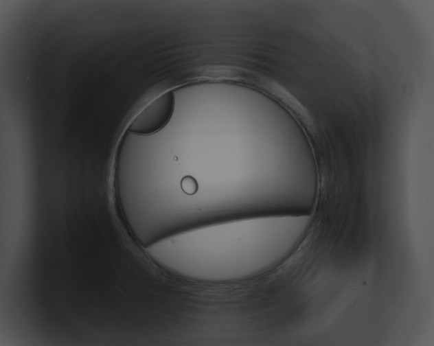 X0000100951378200806241114