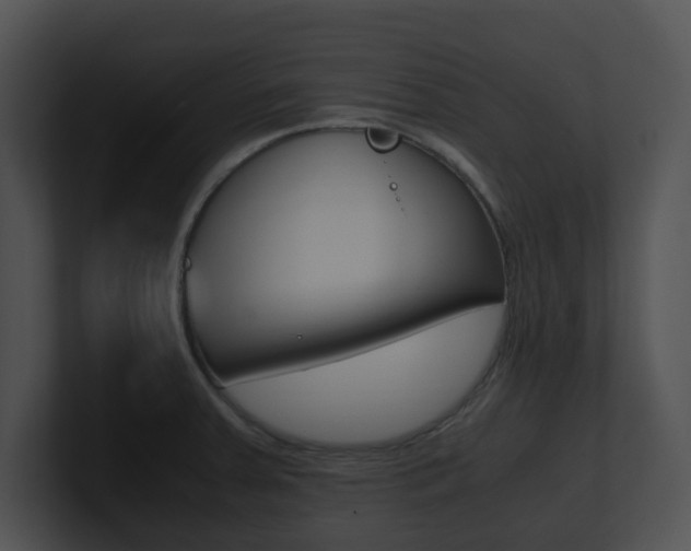 X0000100951379200806241114
