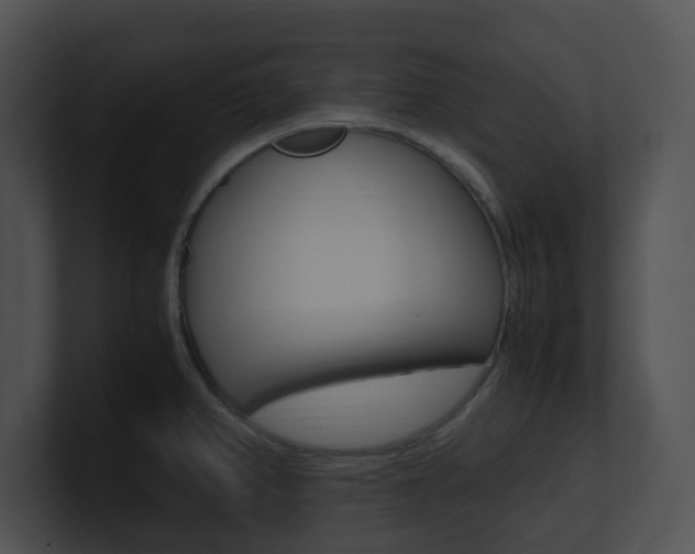 X0000100951382200806241114