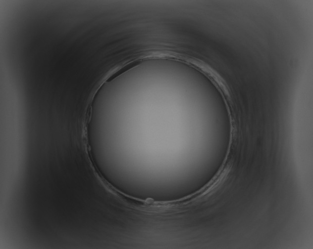 X0000100951385200806241114