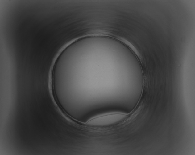 X0000100951387200806241113